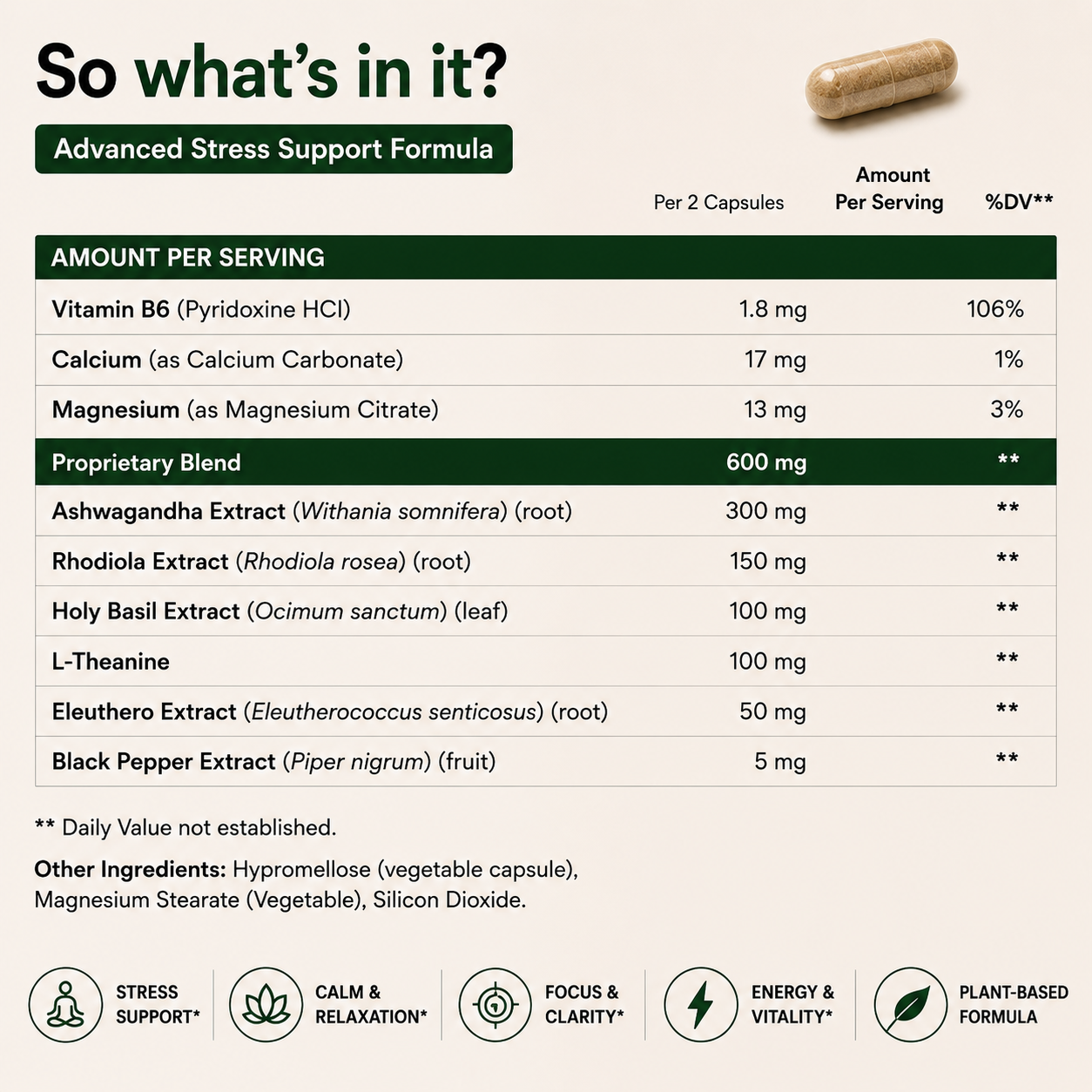 Ashwagandha Plus – Advanced Stress, Focus & Vitality Support
