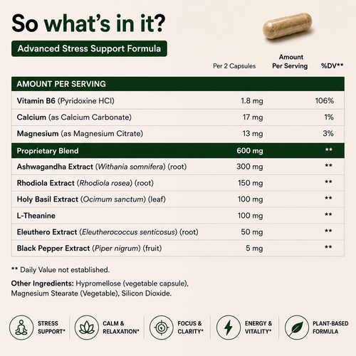 Ashwagandha Plus – Advanced Stress, Focus & Vitality Support